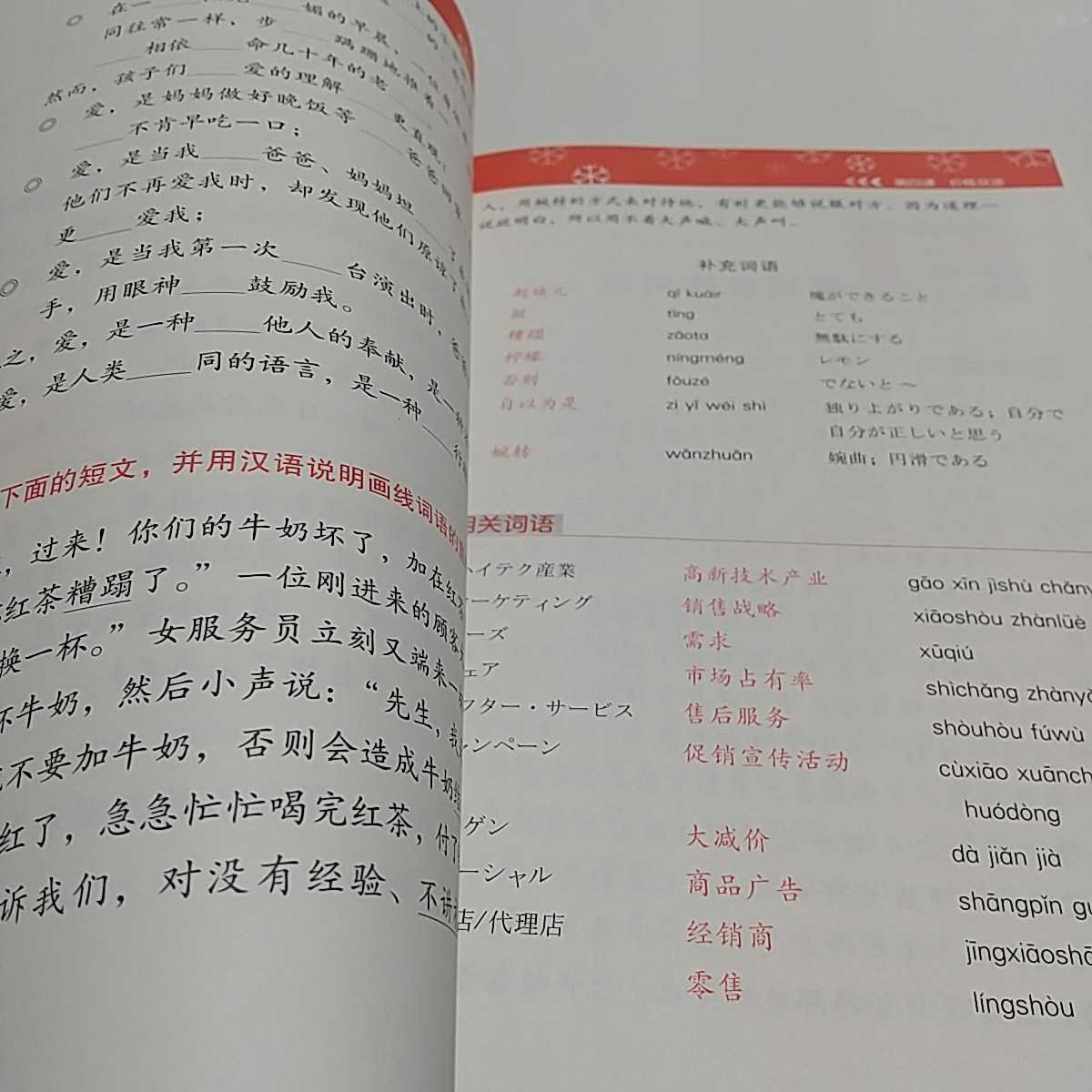 中国語新幹線 商務表現 上 CD1枚付き 北京語言大学出版社 中古 杜英起 馮富栄 ISBNコード：9787561920930 整理番号：011_画像9