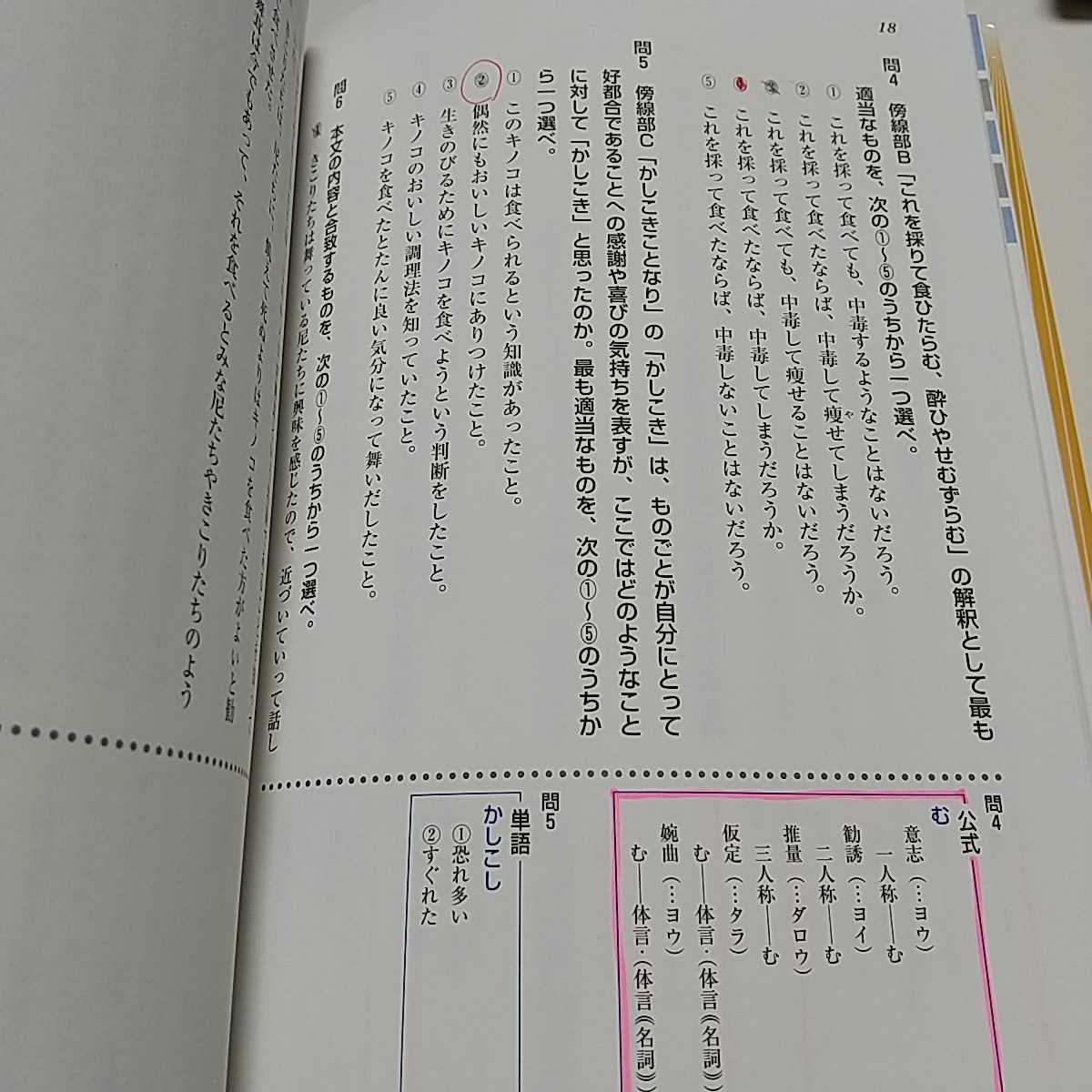 【書き込み多数】達人講座 センター攻略 土屋博映の古文 2007年初版 あすとろ出版 代々木ゼミナール 代ゼミ 国語 古典_画像5