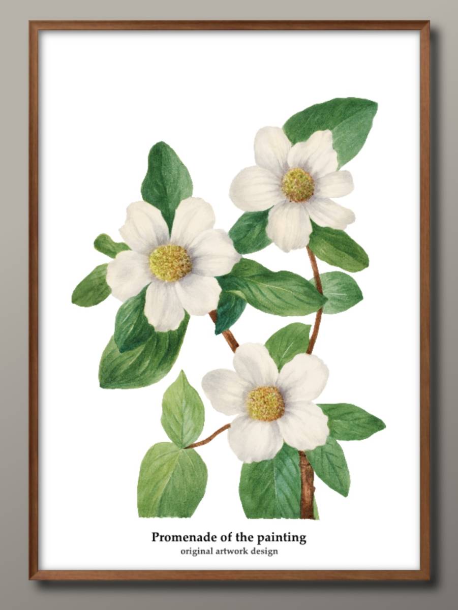 1-7679# free shipping!!A3 poster [ flower plant botanikaru flower ] Northern Europe / Korea / picture / illustration / mat / our shop limitation 