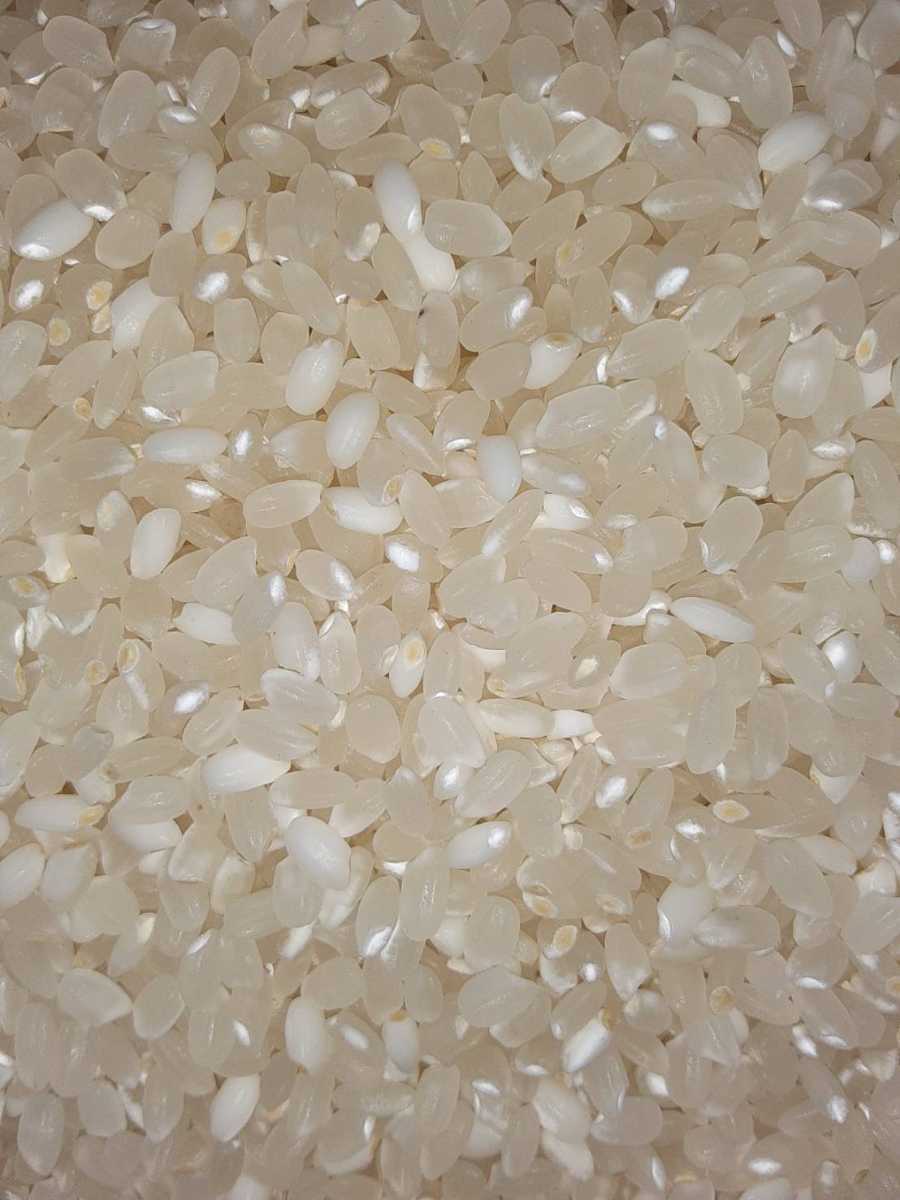 栃木産　白米　お米　限定　うるち米　格安　精米 10kg 令和３年　送料無料　送料込み　最安値　rice　新米 _画像3