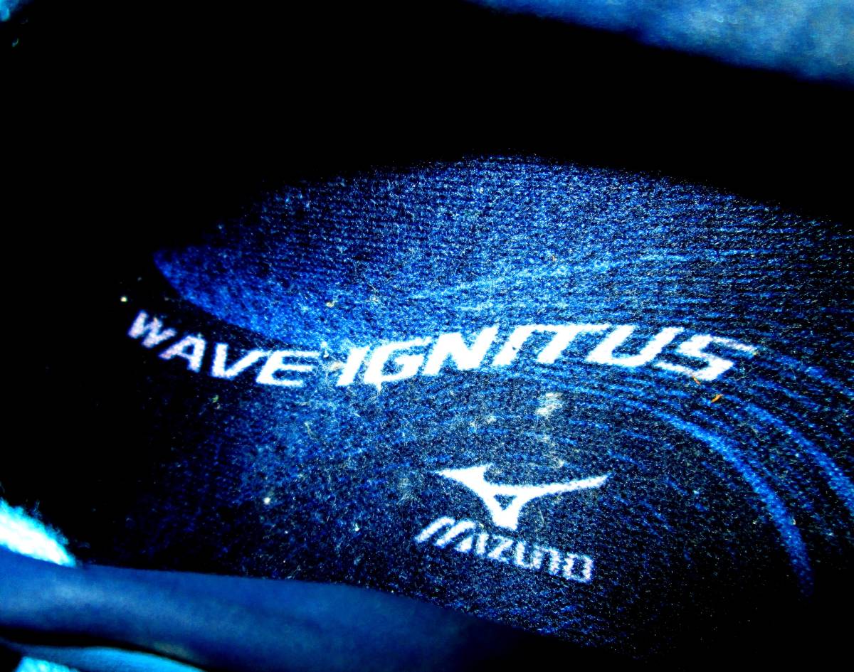 完売品　WAVE IGNITUS２MD　 ウェーブイグニタス２MD　本田　ミズノ　MIZUNO 　ランバード　runbird 日本代表 　青×白　25.0_画像7