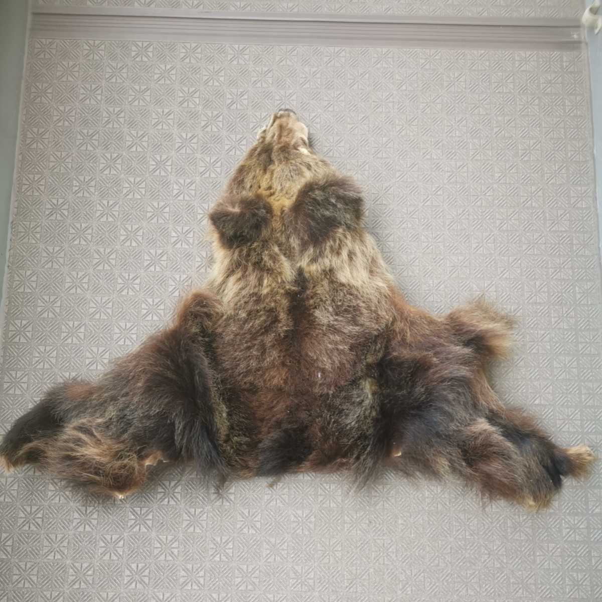 北海道 弟子屈産 ヒグマの毛皮 金毛 レザークラフト 北海道 弟子屈産 ヒグマの毛皮 金毛 レザークラフト