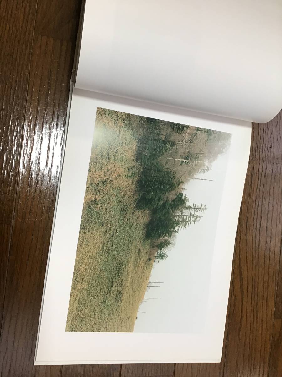 清野賀子 写真集 THE SIGN OF LIFE 2002年 | coloradocreativecorridor.com