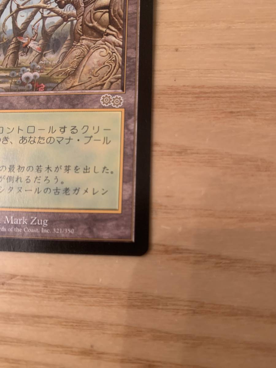 MTG ガイアの揺籃の地 日本語 美品 ruangsastra.com
