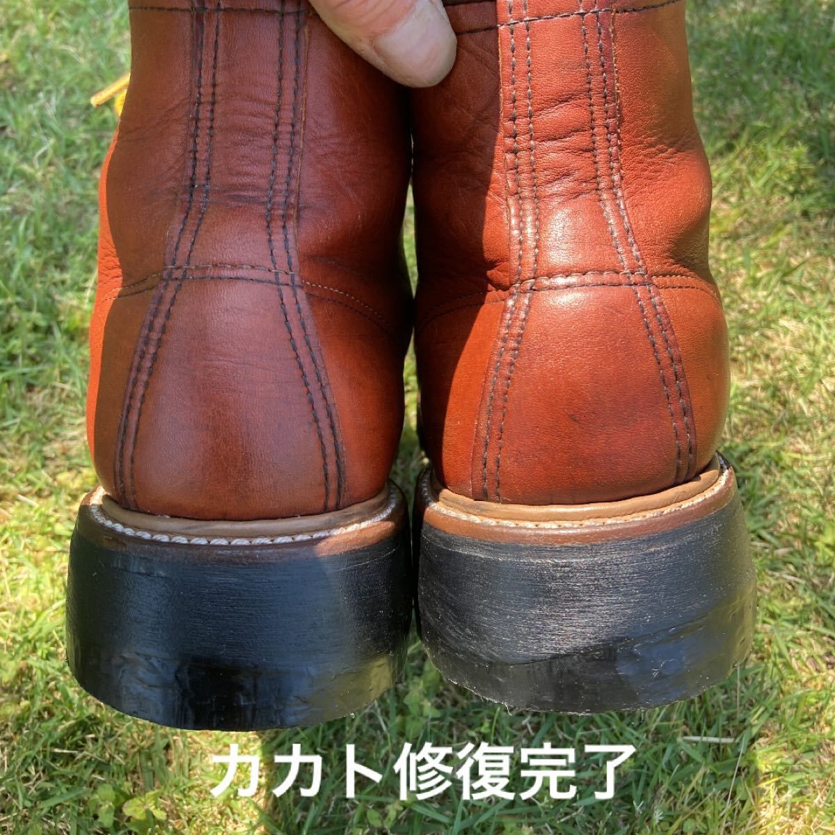 レッドウィング8175表犬タグ | contifarma.pe