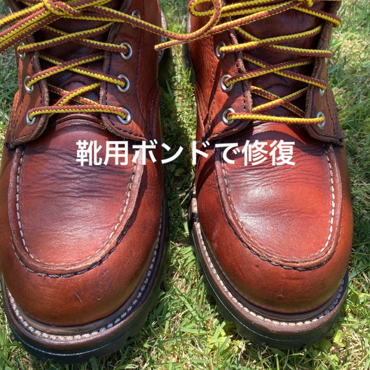 レッドウィング8175表犬タグ | contifarma.pe