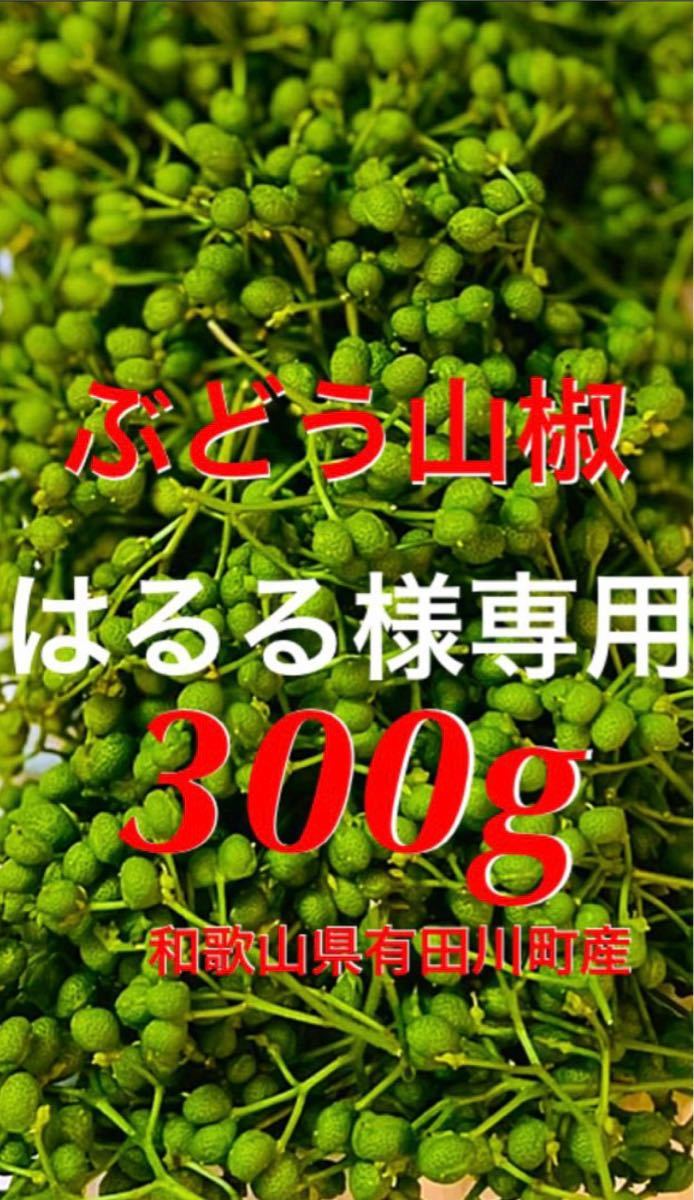 上品なスタイルぶどう山椒 山椒の実 300g 実山椒 和歌山県有田川産