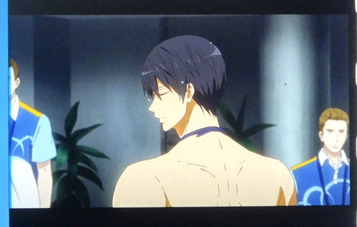 ソルボワ 劇場版 Free! the Final Stroke コマフィルム 七瀬遙