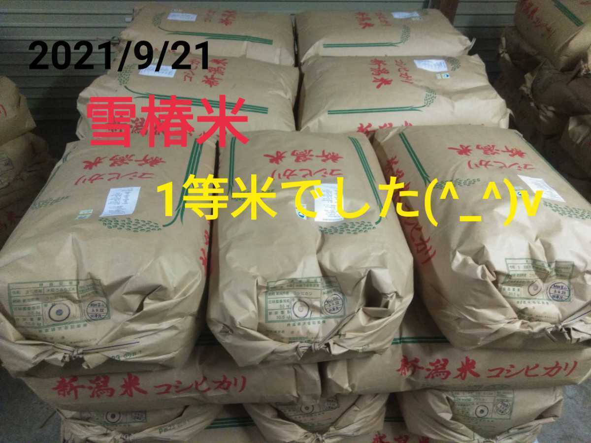 特別栽培米新潟県産コシヒカリ20kg_画像7