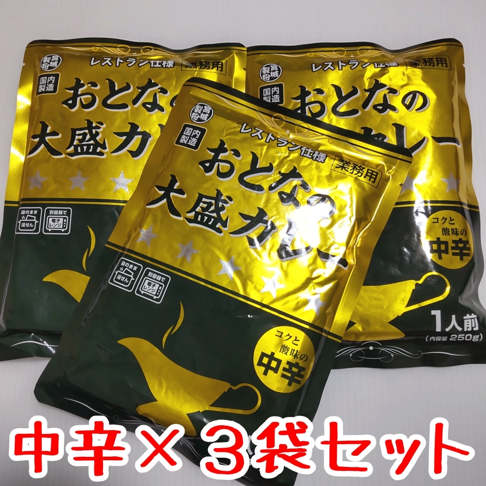 おとなの大盛カレー 250g×3袋セット 中辛 非常食 保存食 レトルトカレー レストラン仕様 3個セット 業務用 _画像1