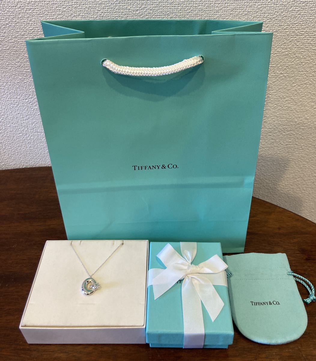 レア！！ 新品 正規品 ティファニー tiffany&co ネックレス フィッシュ 浮き輪 シルバー ケース巾着紙袋リボン 箱　プレゼント 魚