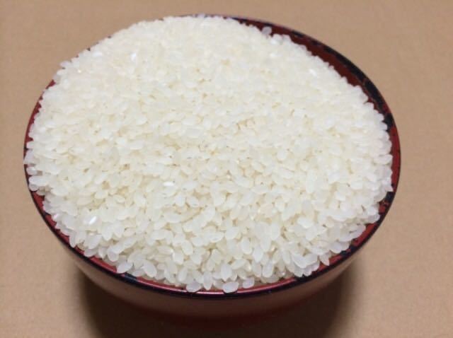 【お得！！】【送料安い！！】令和３年度 長野県産もち米（品種 モリモリモチ）、 白米 １０kg_画像2