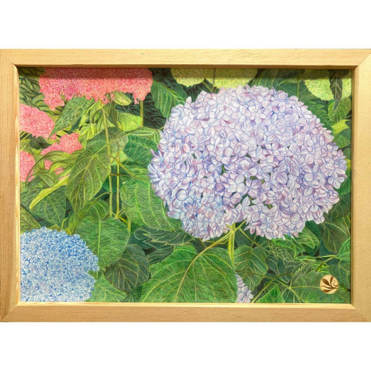 色鉛筆画「 紫陽花 〜 包まれて 〜 」Ａ４・額付き 手描き 原画 花