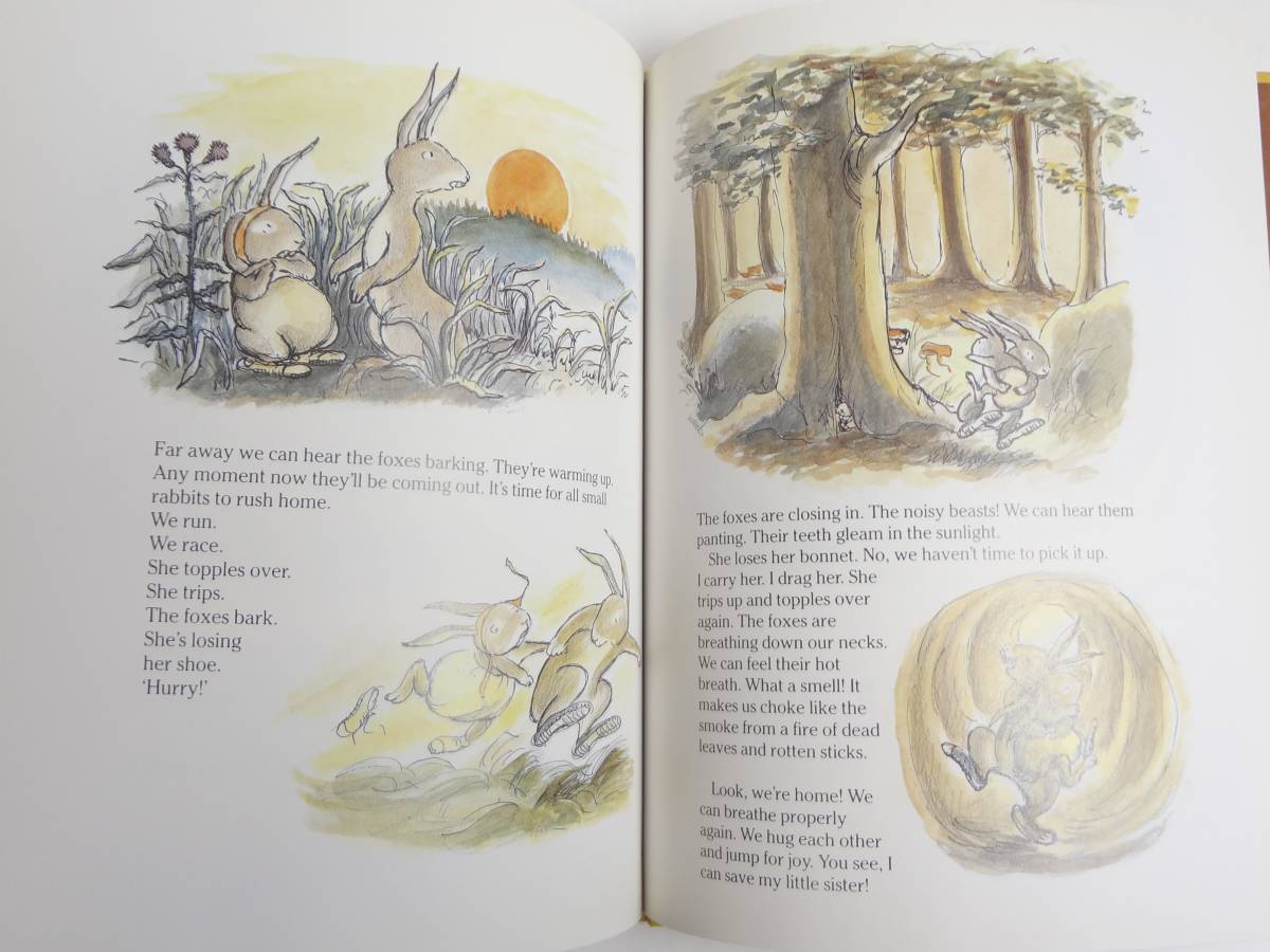 [ English ].......dakoko*.... . sister *Little Sister Rabbit*Ulf Nilsson*Eva Eriksson* foreign book picture book [15]