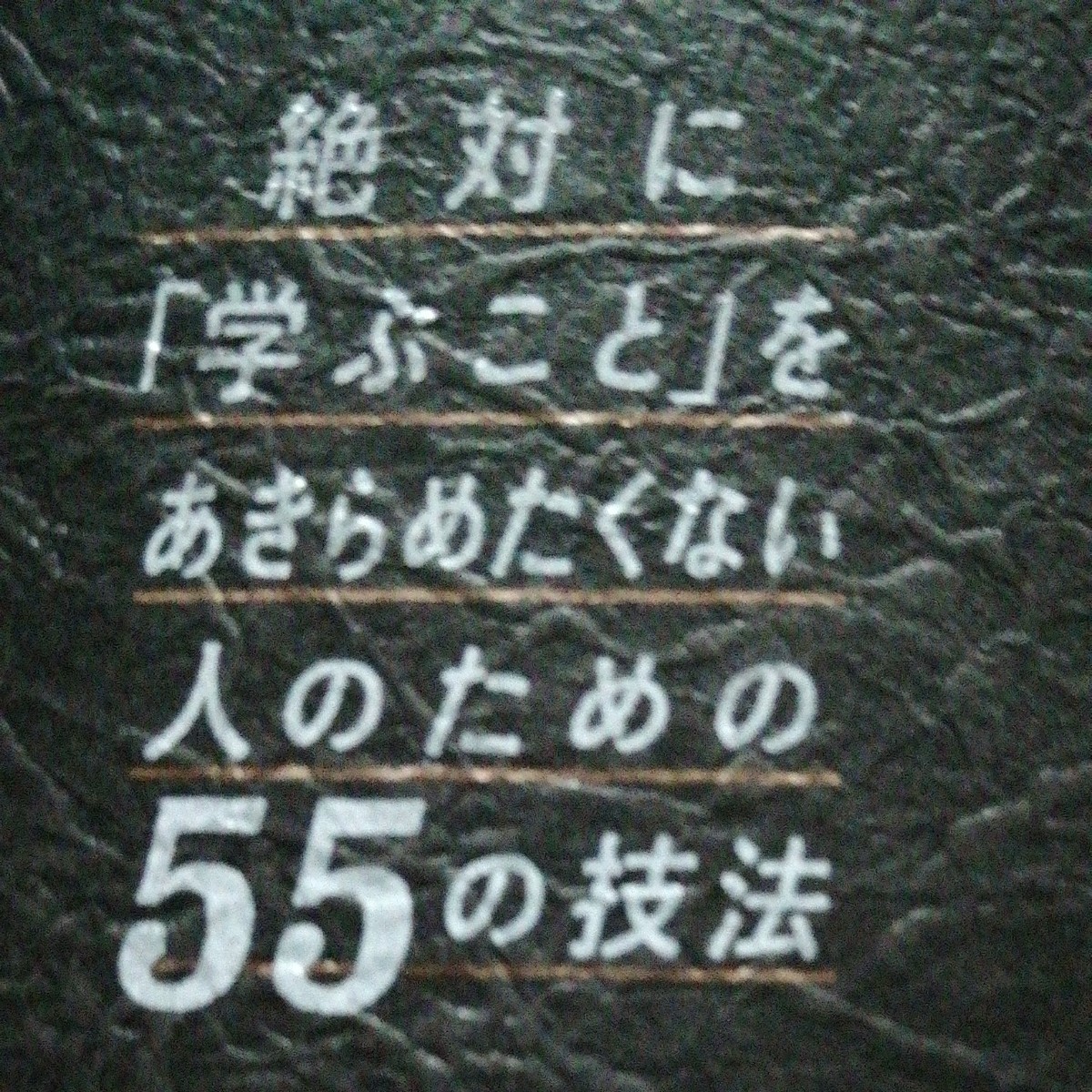 [新品]　独学大全 　絶対に 「学ぶこと」 をあきらめたくない人のための55の技法