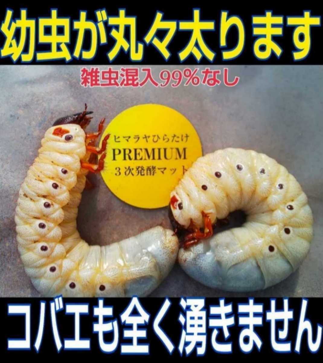 雑虫、コバエも湧かない！進化した！プレミアム3次発酵カブトムシマット☆微粒子・特殊アミノ酸など栄養添加剤を３倍配合☆デカクなります_画像3