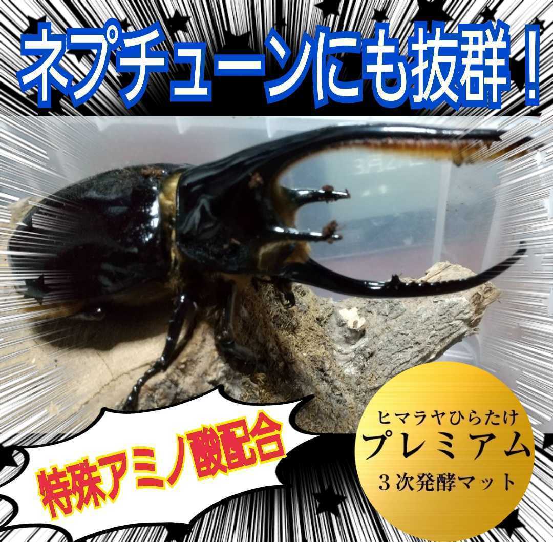  preservation also convenient zipper attaching sack entering! finest quality * evolved! premium departure . rhinoceros beetle mat [80L] nutrition addition agent 3 times combination!kobae*. insect .. not!