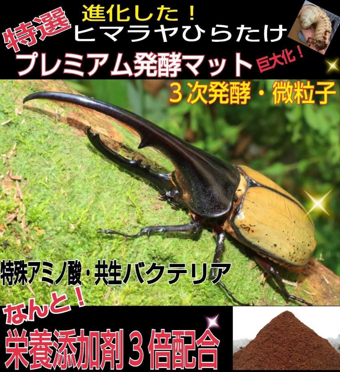 極上☆進化した！プレミアム発酵カブトムシマット☆栄養添加剤3倍配合！ギネス級狙えます！クヌギ100％原料　コバエ、雑虫も全く湧きません_画像1