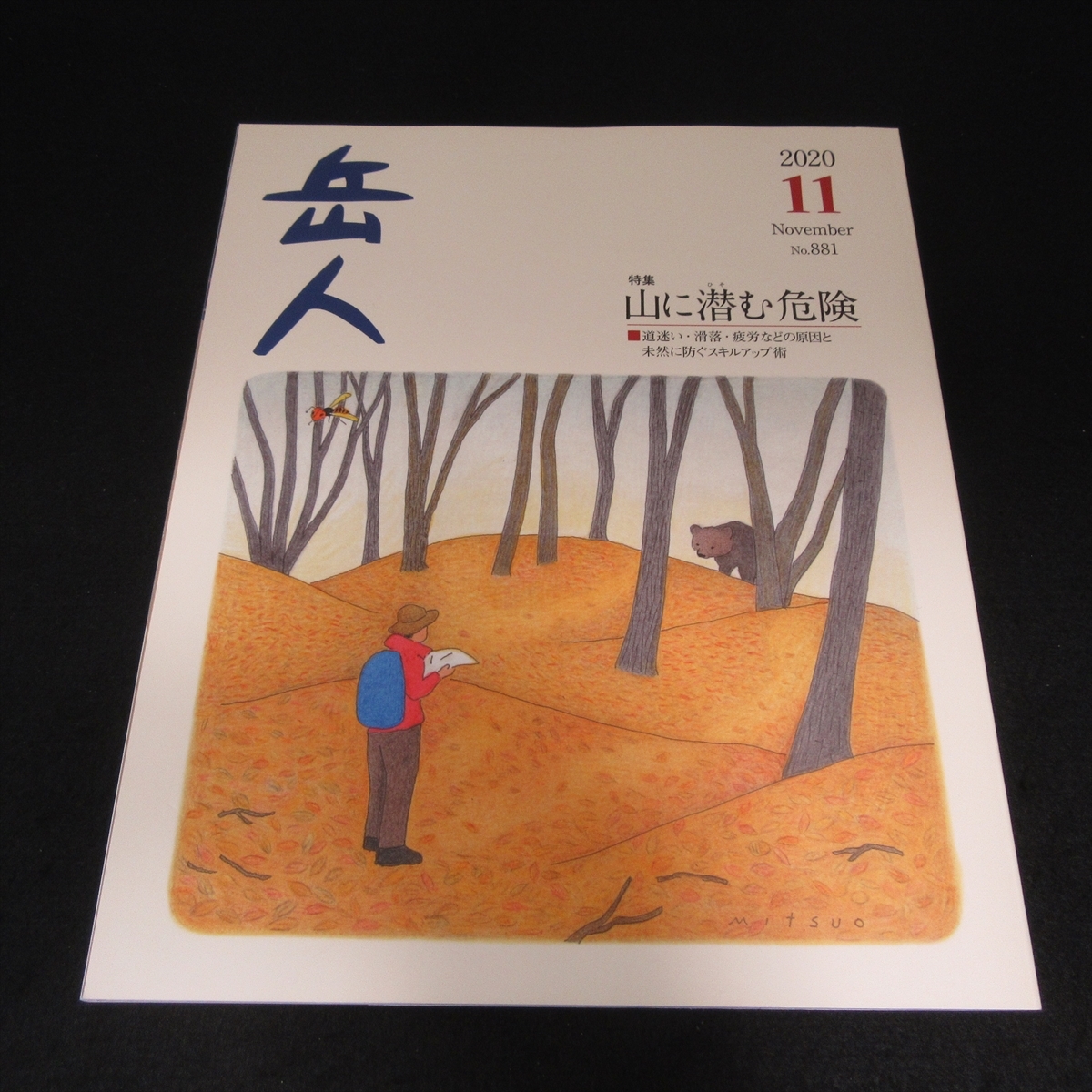 雑誌 『岳人 2020年11月号』 ■送120円　特集：山に潜む危険 道迷い・滑落・疲労などの原因と未然に防ぐスキルアップ術○_画像1