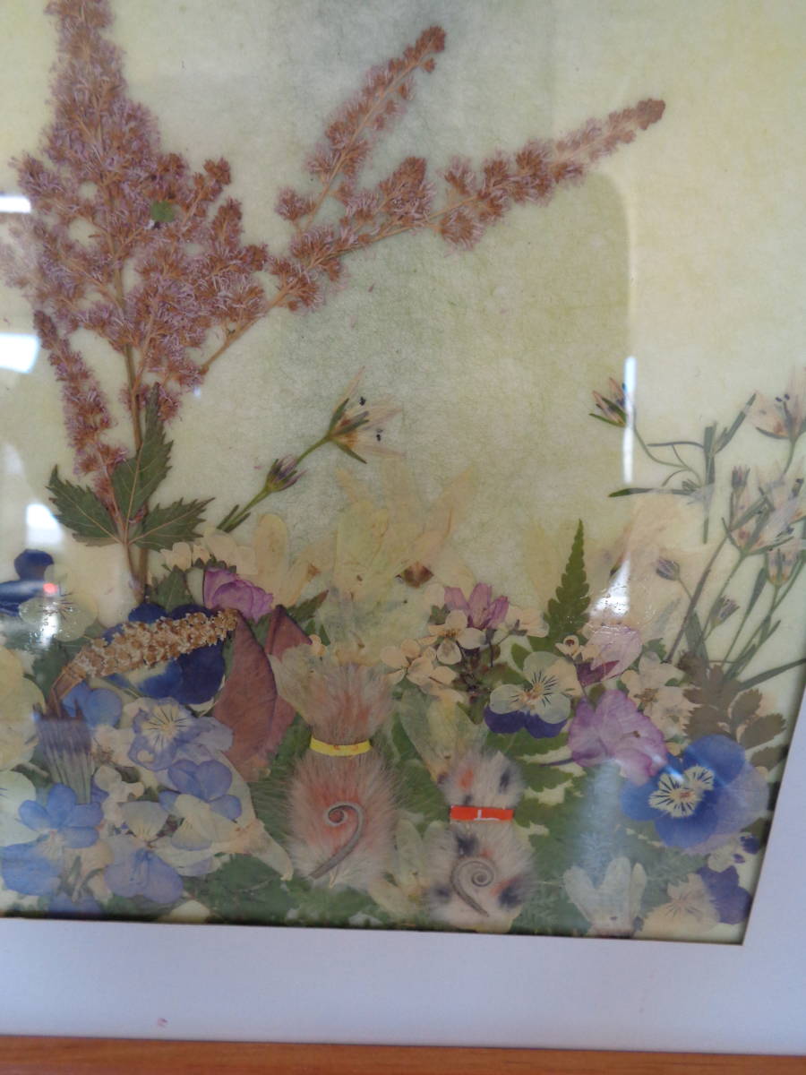 * pressed flower art flower amount picture frame ornament interior lovely ⑥*