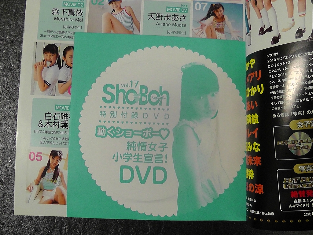 sho→boh vol.17 2009 冬 ショーボー - www.psmockup.com.br