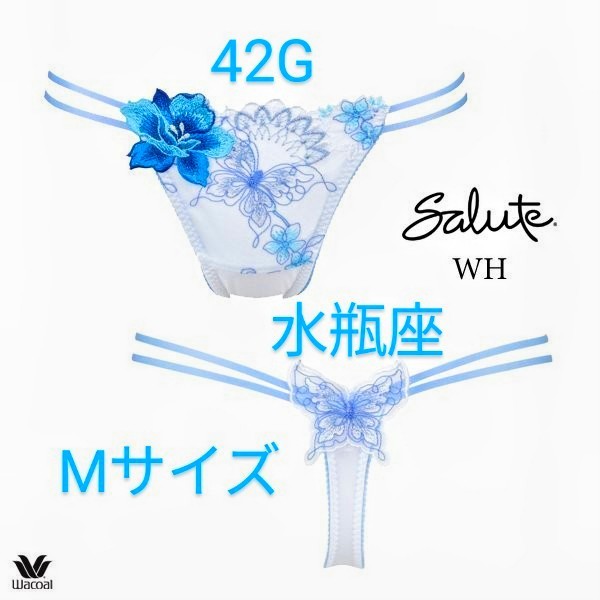 Wacoal/ワコール/salute/サルート/42G/水瓶座/みずがめ座/ソングT