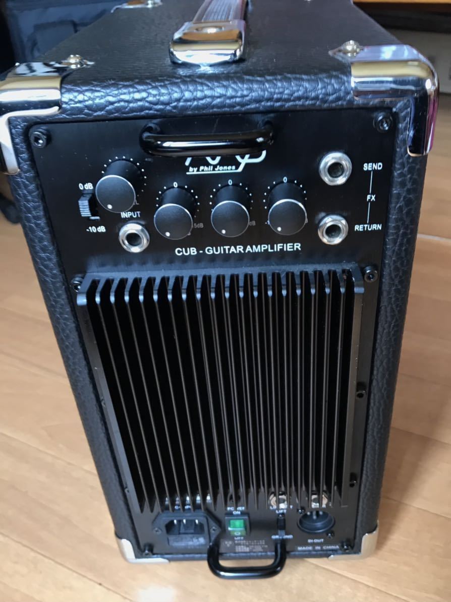 AAD by philjones AG-100 Cub 希少カラー アコギアンプ minnade-ganbaro.jp