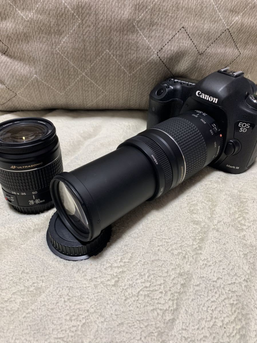キャノン】Canon EOS 5D MarkIII標準&望遠ダブルレンズセット | gkcsu.org