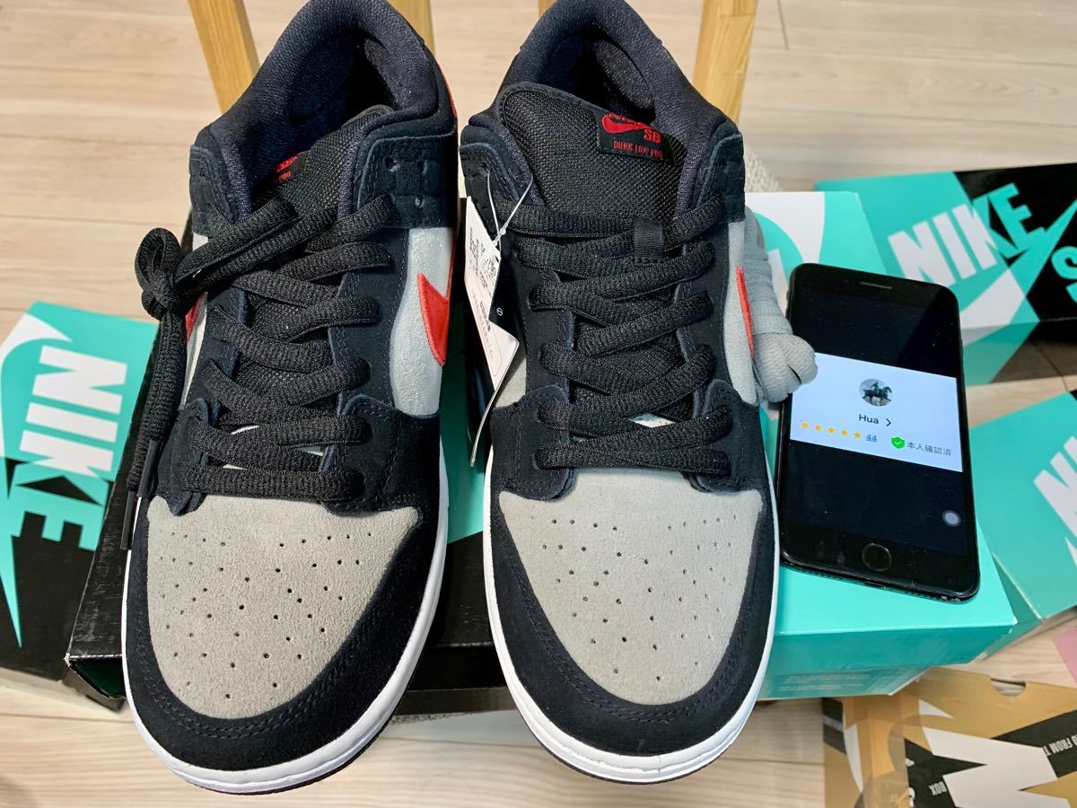 特別送料無料! Nike Dunk SB 激レア NIKE Low ダンクロー プロ