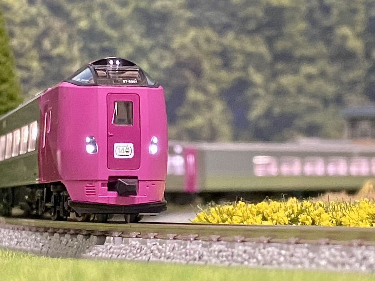 新品・室内灯付&密連形TNカプラー交換☆JR キハ261-5000系特急