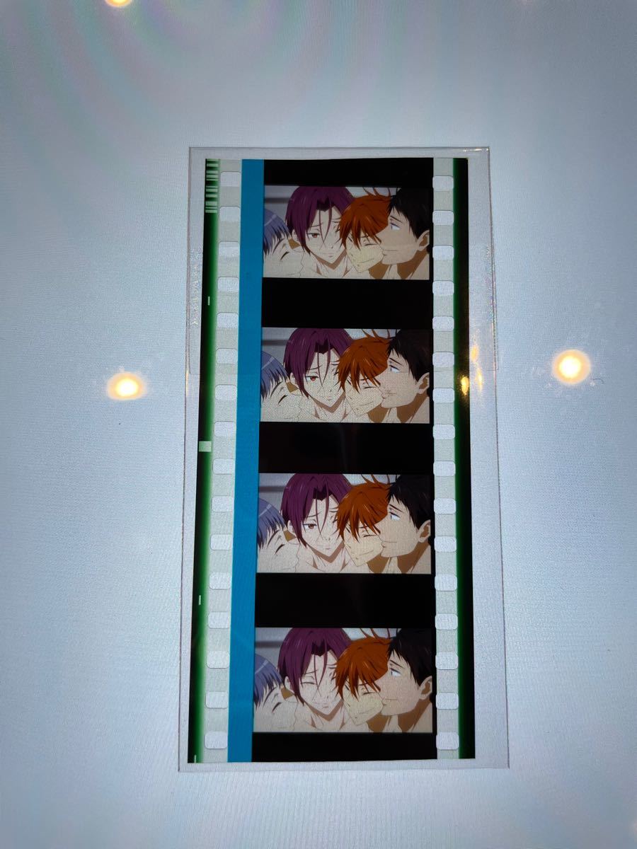 通販 Free the Final Stroke フィルム 岩鳶 鮫塚 集合 asakusa.sub.jp