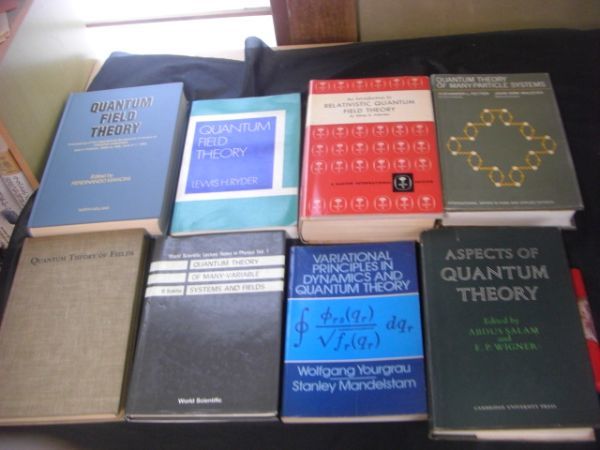 物理 場の量子論洋書 8冊 Quantum Fields Theory、Relativistic Quantum Fields Theory、Quantum Theory of Many-Particle Systems F29_画像3