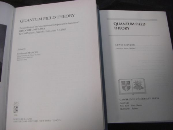 物理 場の量子論洋書 8冊 Quantum Fields Theory、Relativistic Quantum Fields Theory、Quantum Theory of Many-Particle Systems F29_画像9