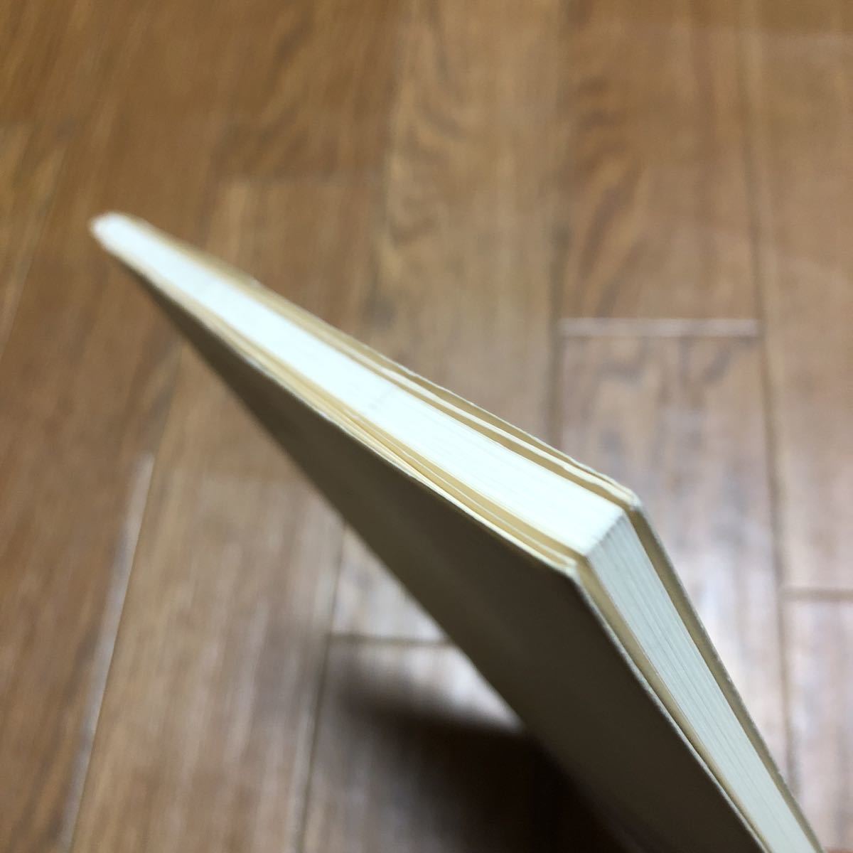 新しい愛の誕生-聖書に見る結婚の奥義- 千代崎秀雄 いのちのことば社 きりす 聖書 バイブル 送料無料