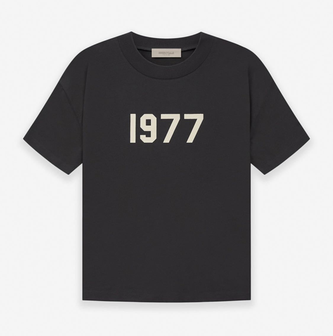 FOG Essentials 1977 半袖T-Shirt Tシャツ IRON サイズL(文字、ロゴ ...