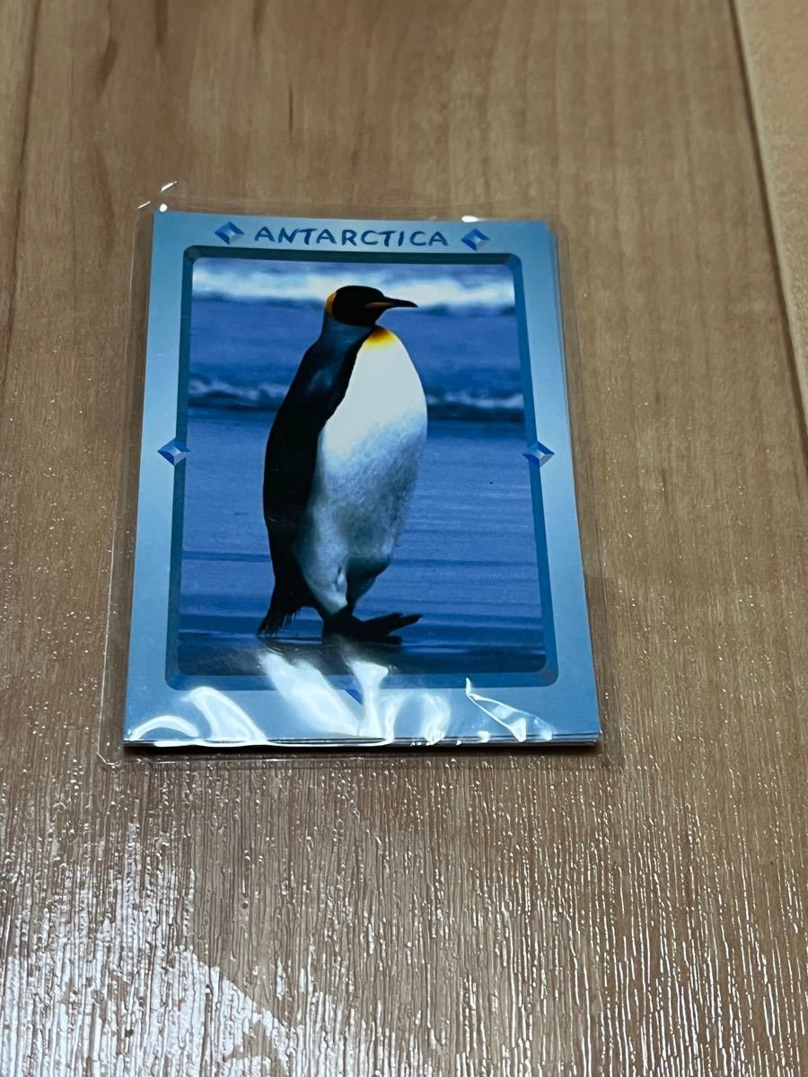 『匿名配送』『送料無料』国立極地研究所　南極動物図鑑　カード　8枚セット　ペンギン　カモメ　アザラシ　アホウドリ　