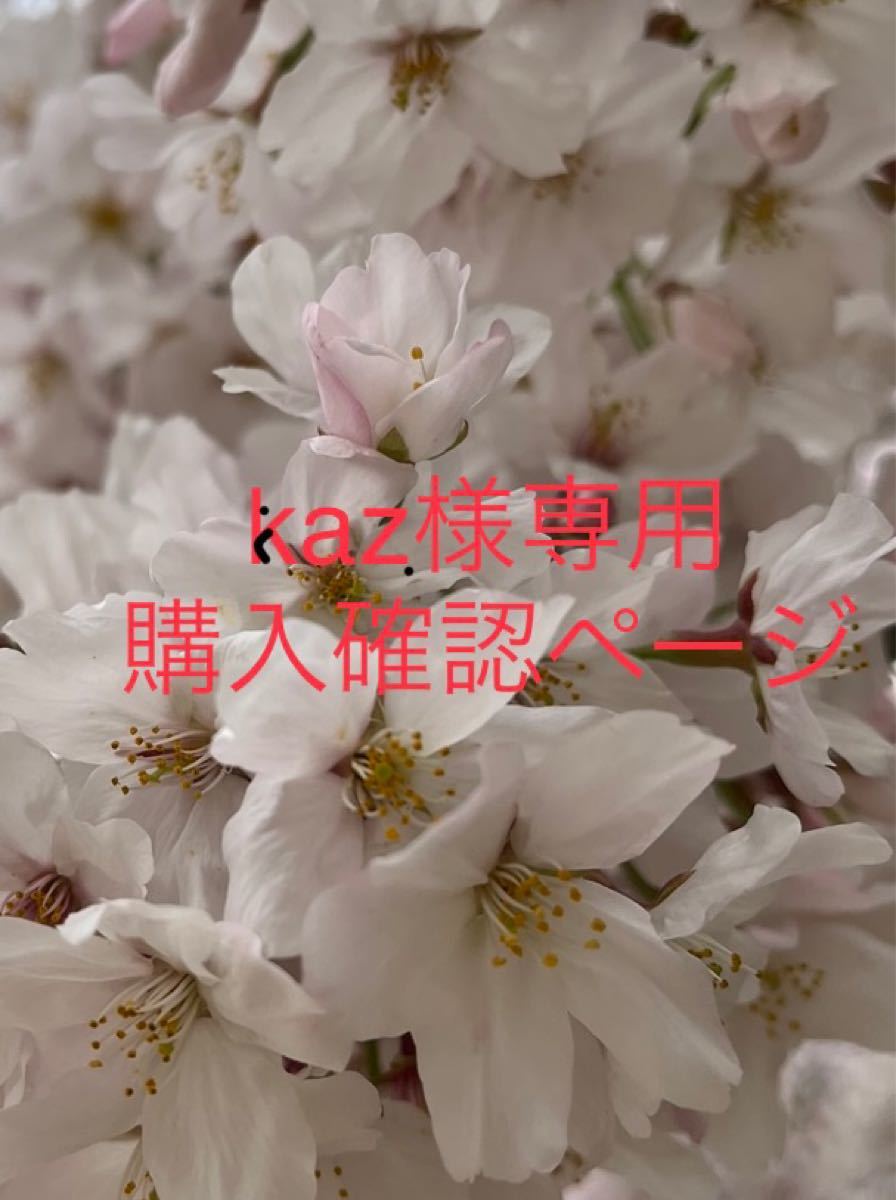 kaz様専用 購入確認ページ www.safanaindah.co.id