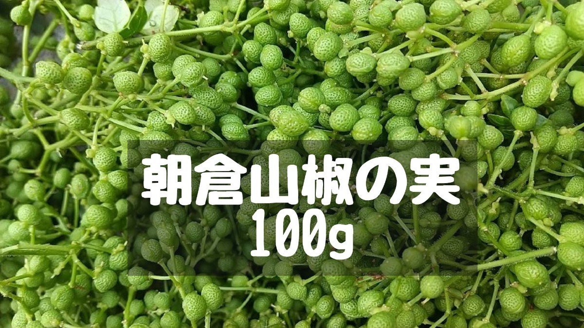 大分県産 朝倉山椒の実 100g 無農薬｜PayPayフリマ