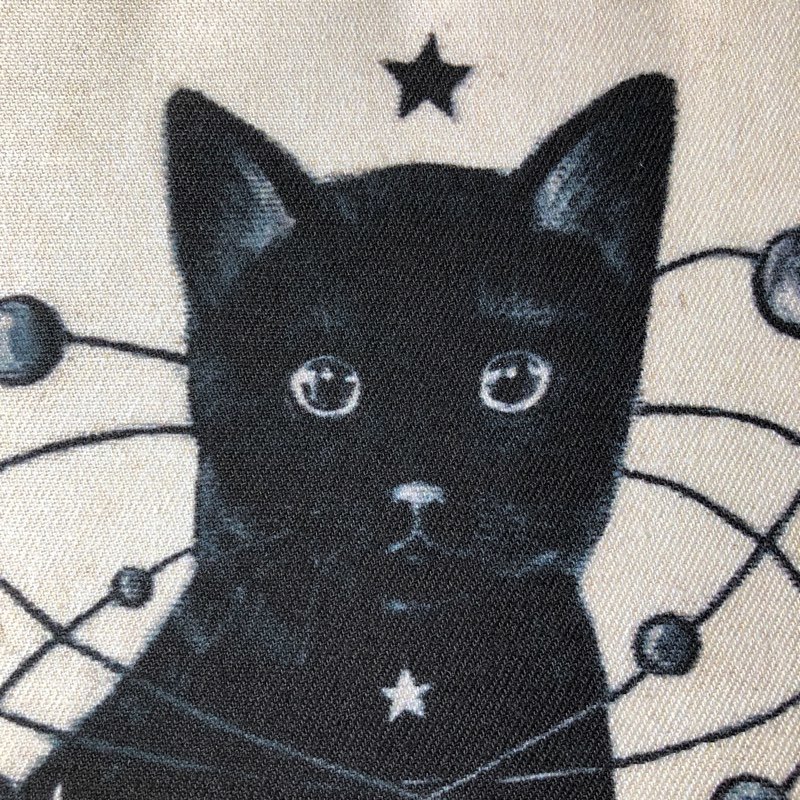 月猫★アート「星月猫 くろ」絵画 F0 複製画　木製パネル貼り「004」猫_画像3