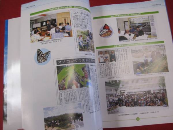 *..10 anniversary commemoration magazine butterfly Islay ndo. taking aim [ Okinawa *. lamp * nature * living thing * butterfly *chou]