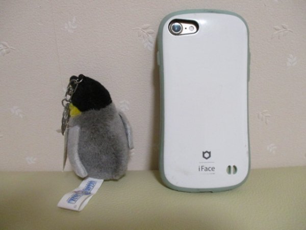 [ симпатичный пингвин Hong Kong Ocean park эмблема! 20518]