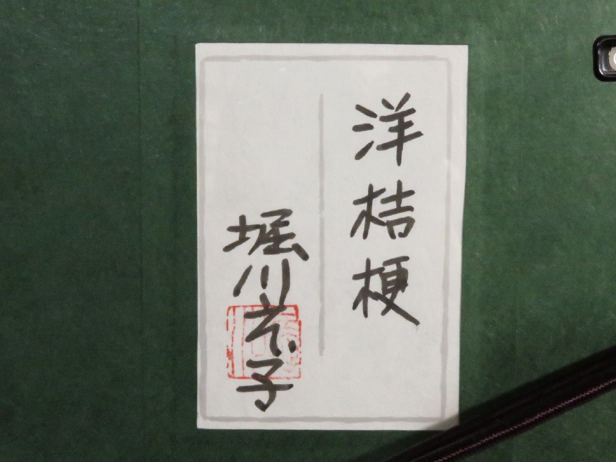 ◆◇堀川えい子(東京) 洋桔梗 肉筆日本画 6号額装◇◆花鳥画 秋 現代人気作家 GY1266-8_画像8