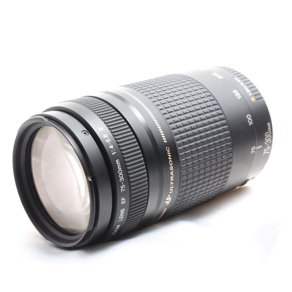 超望遠レンズ Canon キャノン EF 75-300mm F4-5.6 Ⅱ(キヤノン)｜売買 