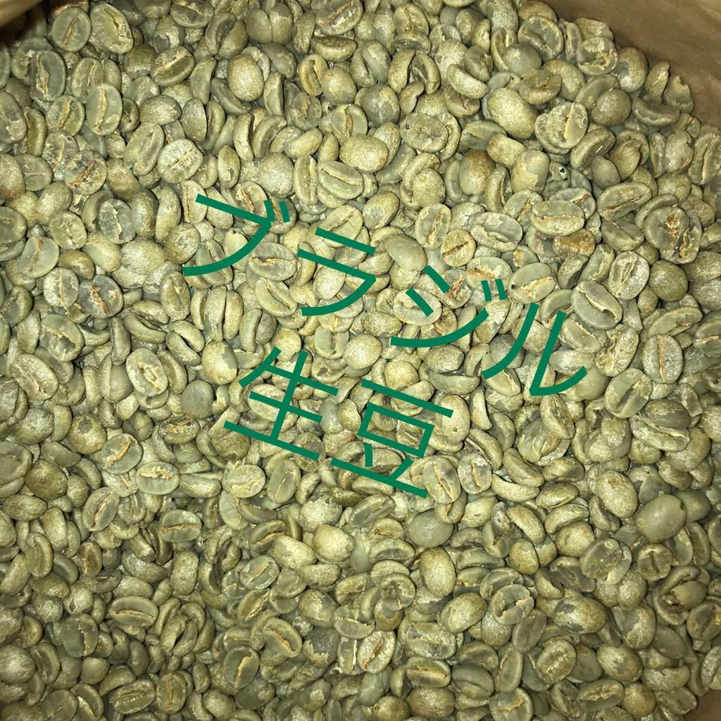 コーヒー生豆　ブラジル800g