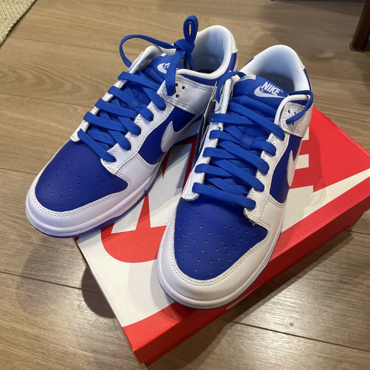 Nike Dunk Low Reverse Kentucky ナイキ ダンク 裏ダンク ケンタッキー