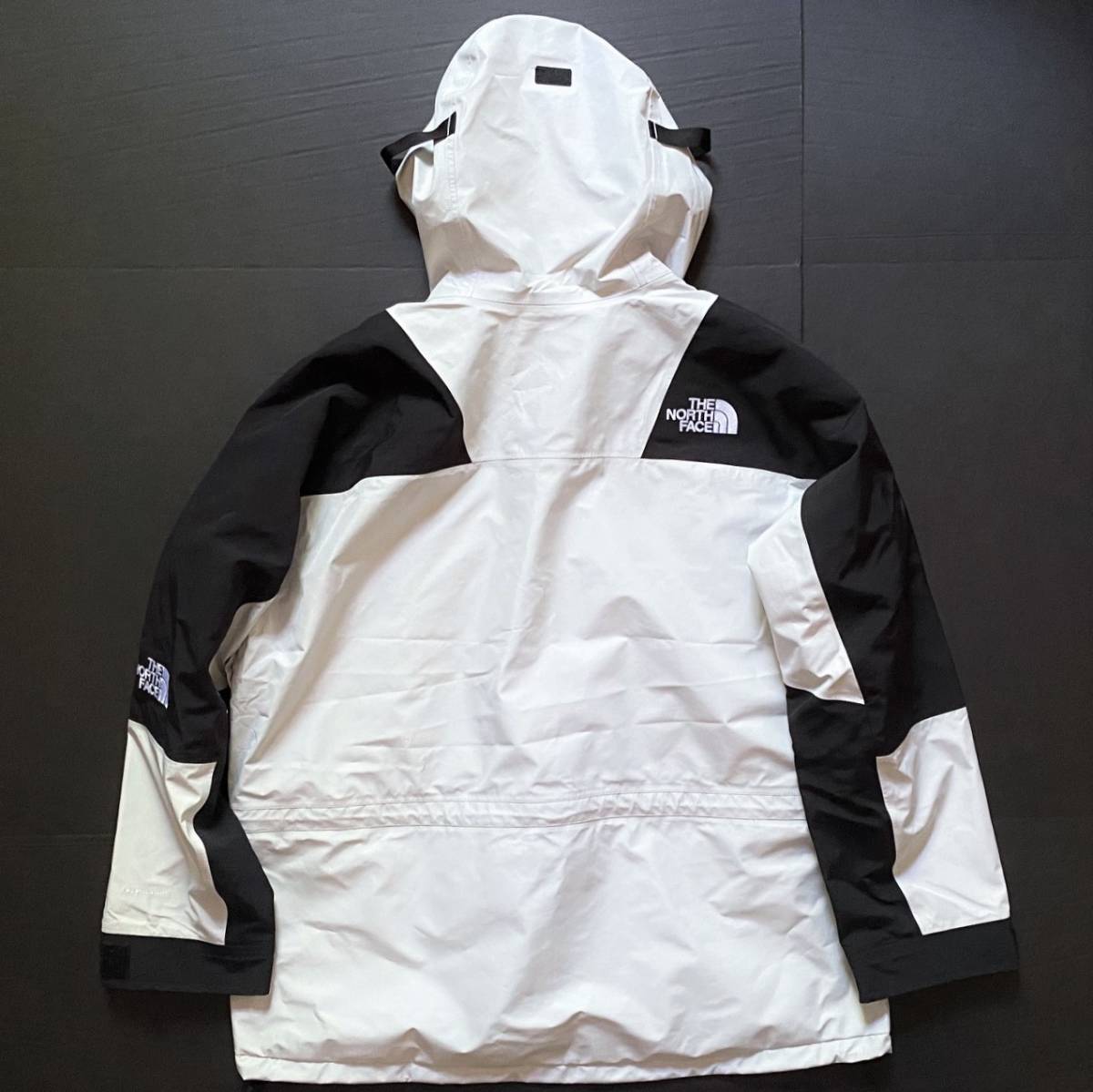 新品USAノースフェイス 1994レトロ マウンテンライト フューチャー