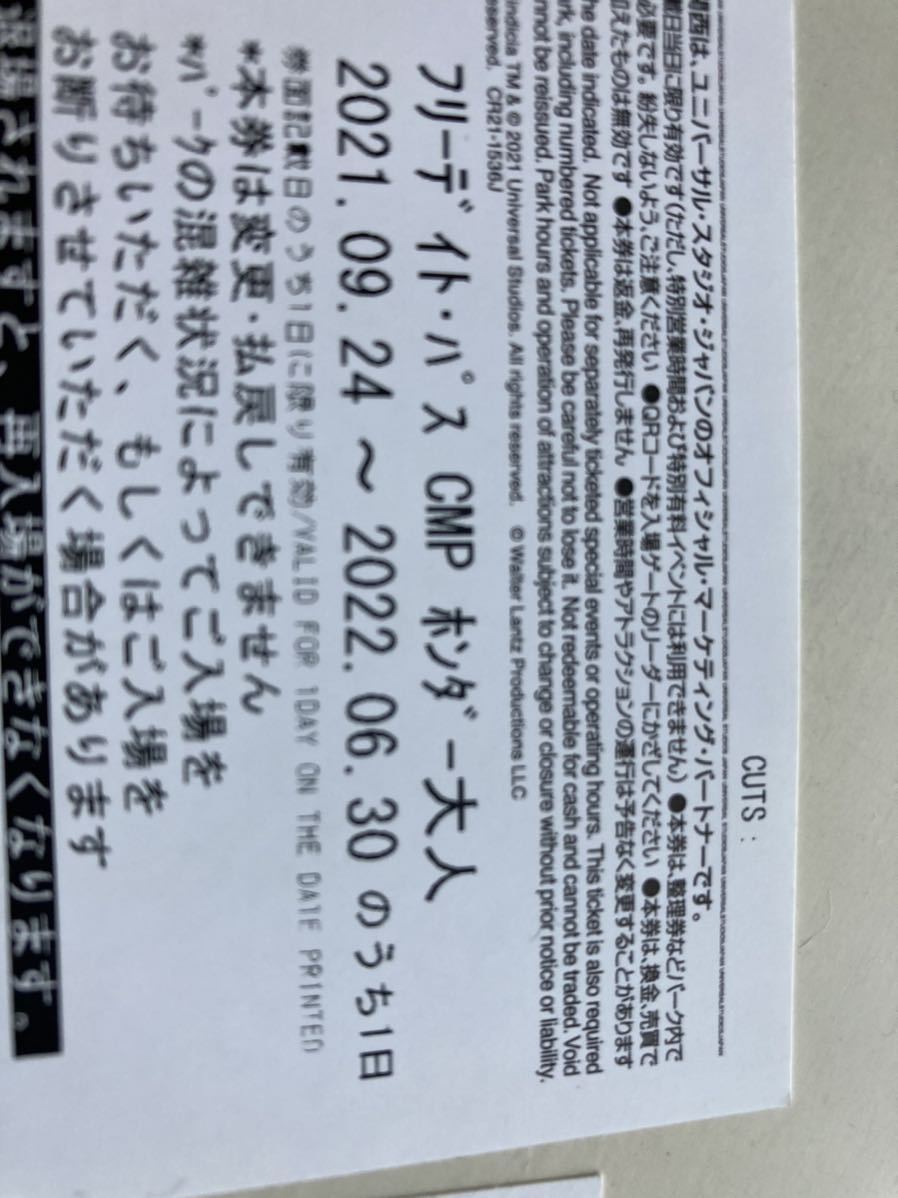 USJチケット ユニバーサル・スタジオ・ジャパン 大人2枚セット 有効