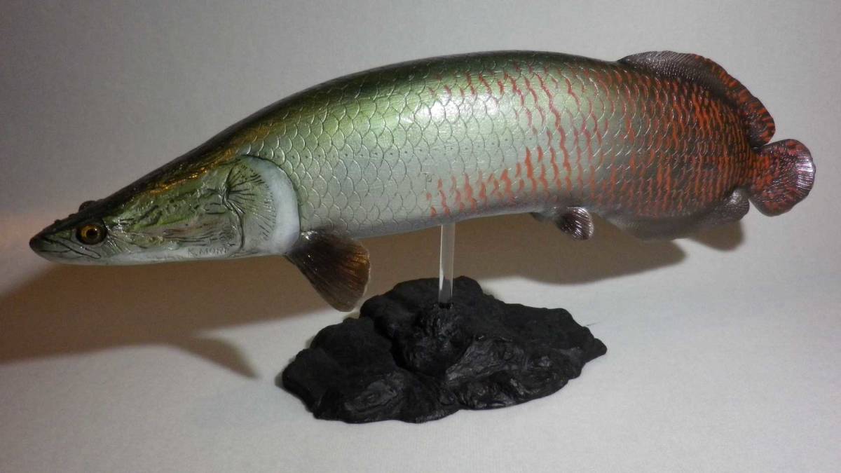 * old fee fish pillar ruk figure FRP made extra-large size pillar ru Koo tropical fish / search : osteoglossids Kaiyodo nature Technica la-.. Club *