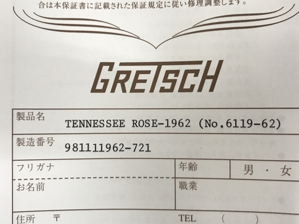 Gretsch Tennessee Rose エレキギター 中古 S6337169_画像10
