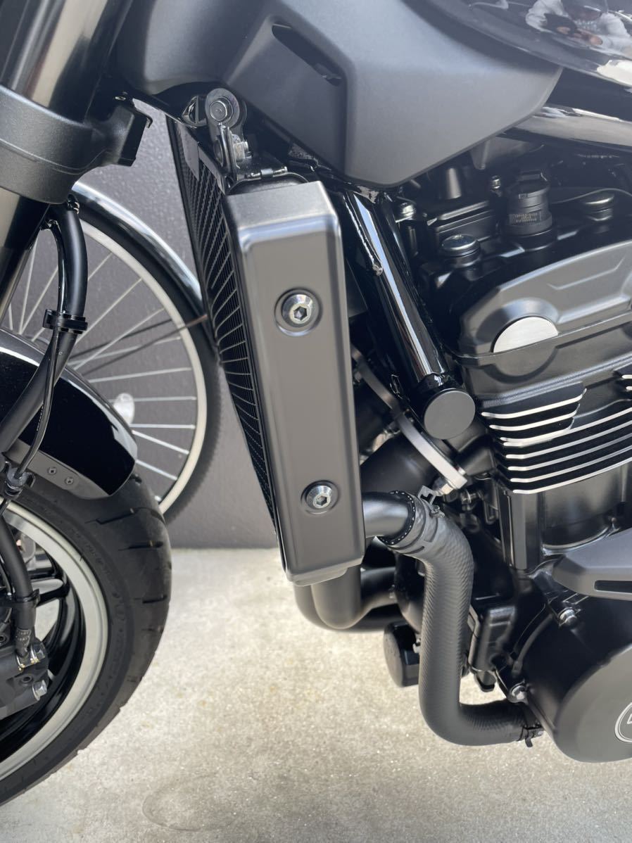 Z900RS カフェ KAWASAKI純正 フロントフェンダーアーム Z900RS カフェ KAWASAKI純正 フロントフェンダーアーム